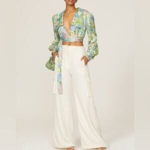 Ronny Kobo Long Sleeve Floral Crop Top Plunging Neck Line Silk Blend Medium